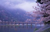 Discover Japan